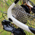 Basso Palta GRX 820 2x12 Gravel Bike