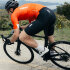 Q36.5 Gregarius Pro Bib Shorts - SS26