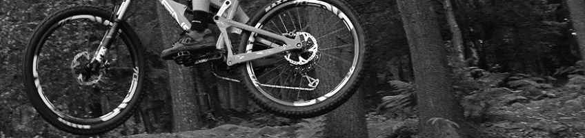 MTB Wheels